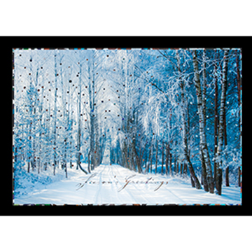 Snowy Tree Lined Road - Printed Envelope