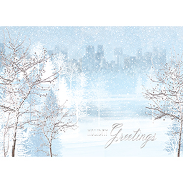 Gentle Snowfall - Printed Envelope