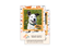 Trading Cards- 2 Sided