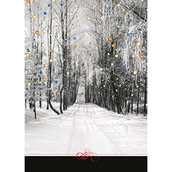 Treeline Lights - Printed Envelope